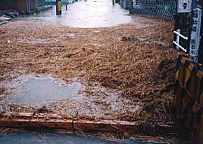 Inundações causadas por chuvas intensas em 10/09/2000