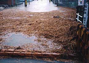 Flooding due to heavy rain on Sept 10, 2000