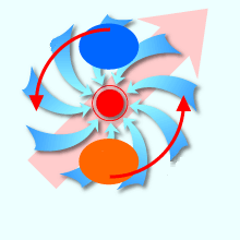 Typhoon path and wind direction 